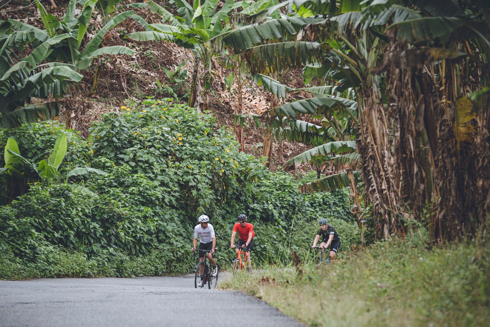 Cyclist doing a bike tour in Colombia's coffee hub riding through coffee plantations and great weather